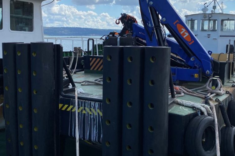 CARGO LAUNCH ERMIS