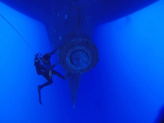 Bulk Carrier "MAGIC SEAS"