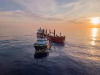 Bulk Carrier "MAGIC SEAS"