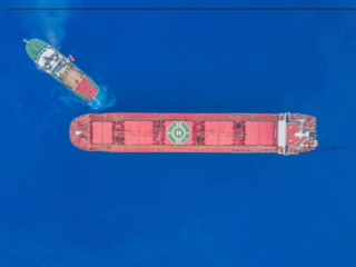 Bulk Carrier "MAGIC SEAS"